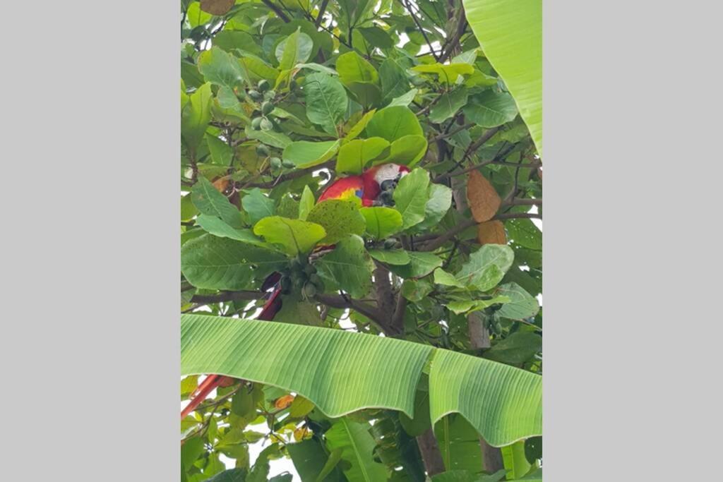 Depto. Maia: A/C, Agua Caliente, Wifi, Tv, Cable. Appartement Palenque Buitenkant foto